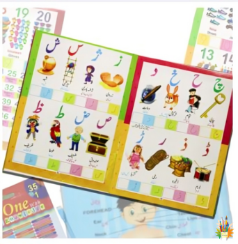 35-in-1 Wipe-Clean Practice Book for Kids – Alphabet, Counting, Fruits, Animals, Birds, Flowers, Foods & Rhymes